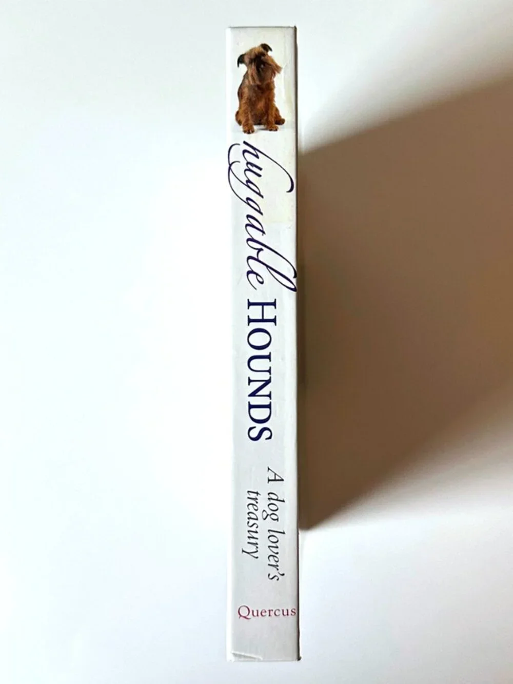 Huggable Hounds Dog Lover's Treasury Hardcover Gift Book 2007 Photos Quotations